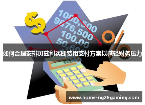 如何合理安排贝兹利买断费用支付方案以减轻财务压力
