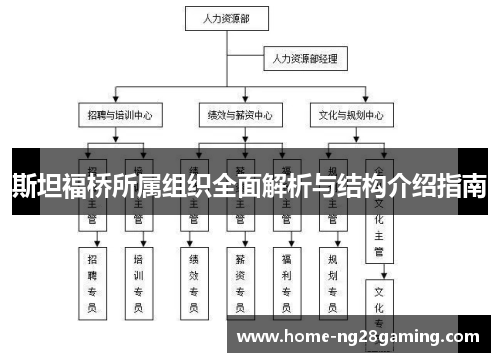 斯坦福桥所属组织全面解析与结构介绍指南