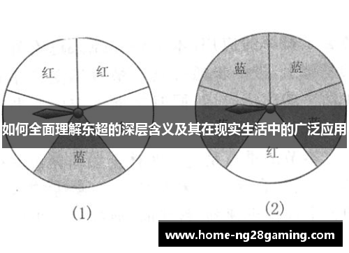 如何全面理解东超的深层含义及其在现实生活中的广泛应用